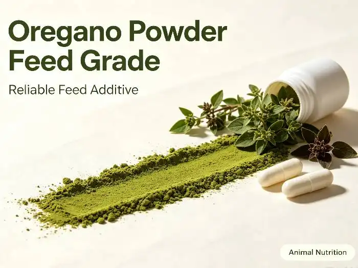 What Makes Oregano Powder Feed Grade Suitable for Animal Nutrition?